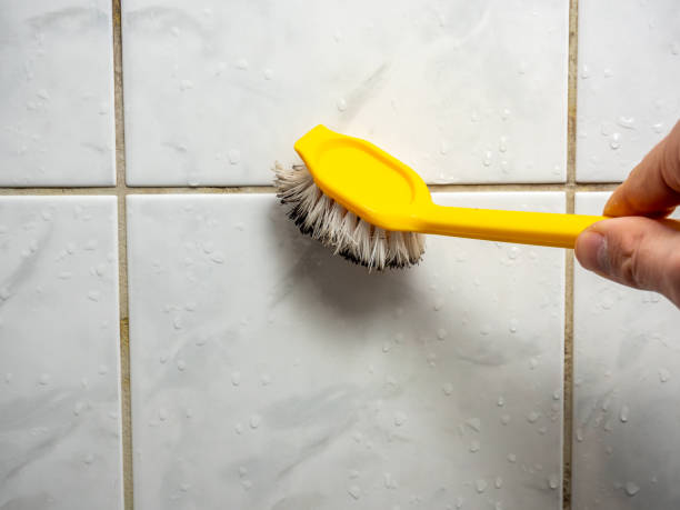 Best Fast Mold Removal  in Souderton, PA
