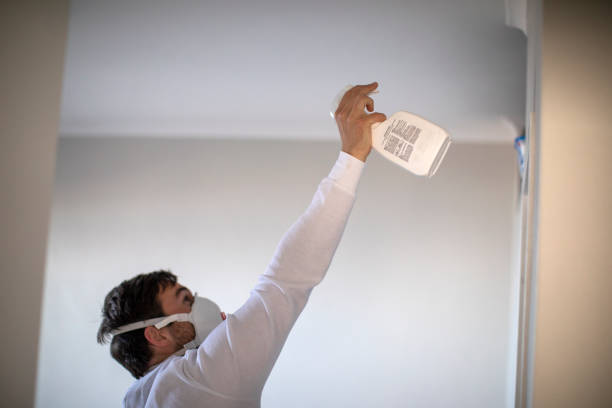 Best Affordable Mold Removal  in Souderton, PA