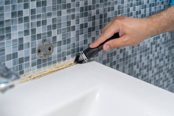 Best Attic Mold Removal  in Souderton, PA